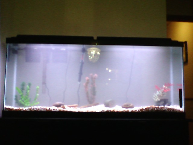 fishtank.jpg